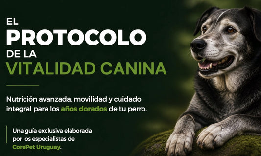 Guía Vitalidad Canina