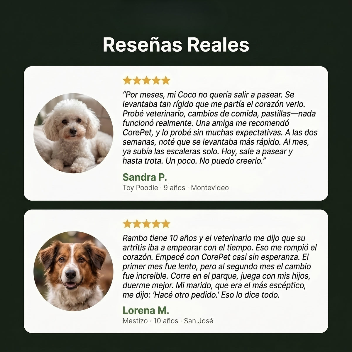 Core Pet Colageno para perros