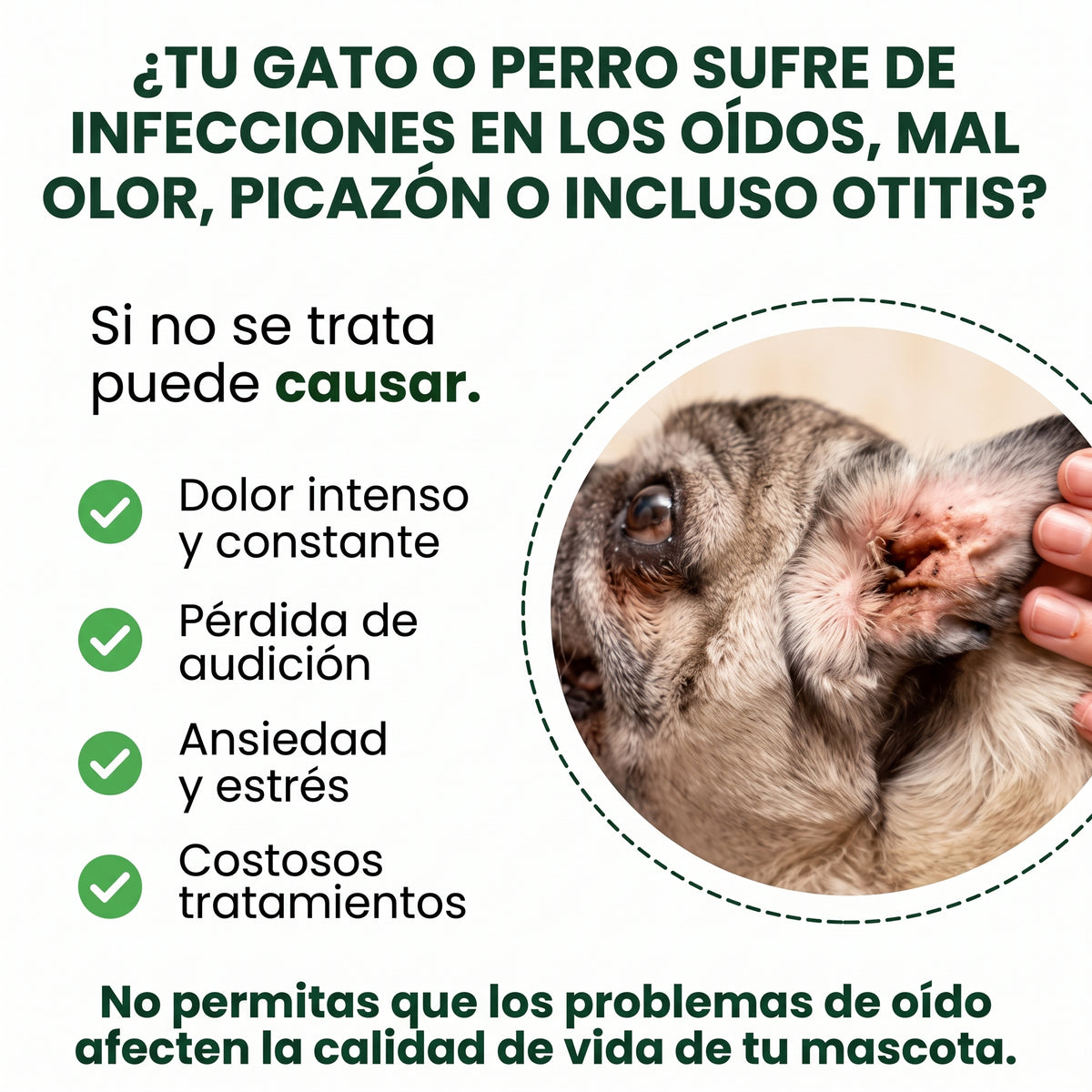 Limpiador ótico