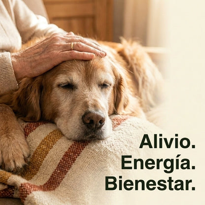 Core Pet Colageno para perros